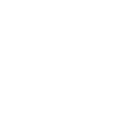 pinterestIcon